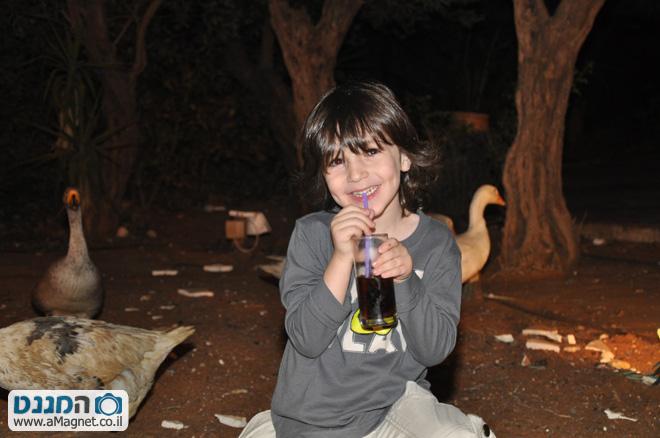 תמונה גדולה